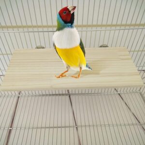 ULELE 3 Pcs Bird Wood Platform Pet Bird Cage Square Wooden Stand Parrot Perches Platform Budgie Toys Bird Tree Perches for Parakeets