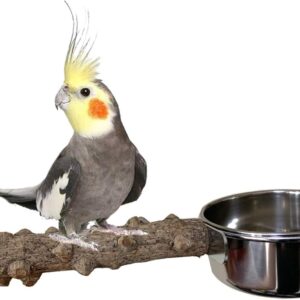 Vehomy Natural Wood Bird Perch with Bird Feeding Cups Bird Stainless Steel Food Water Bowls Dish Feeder for Cockatiel Conure Budgies Parakeet Parrot Bird Platform Stand