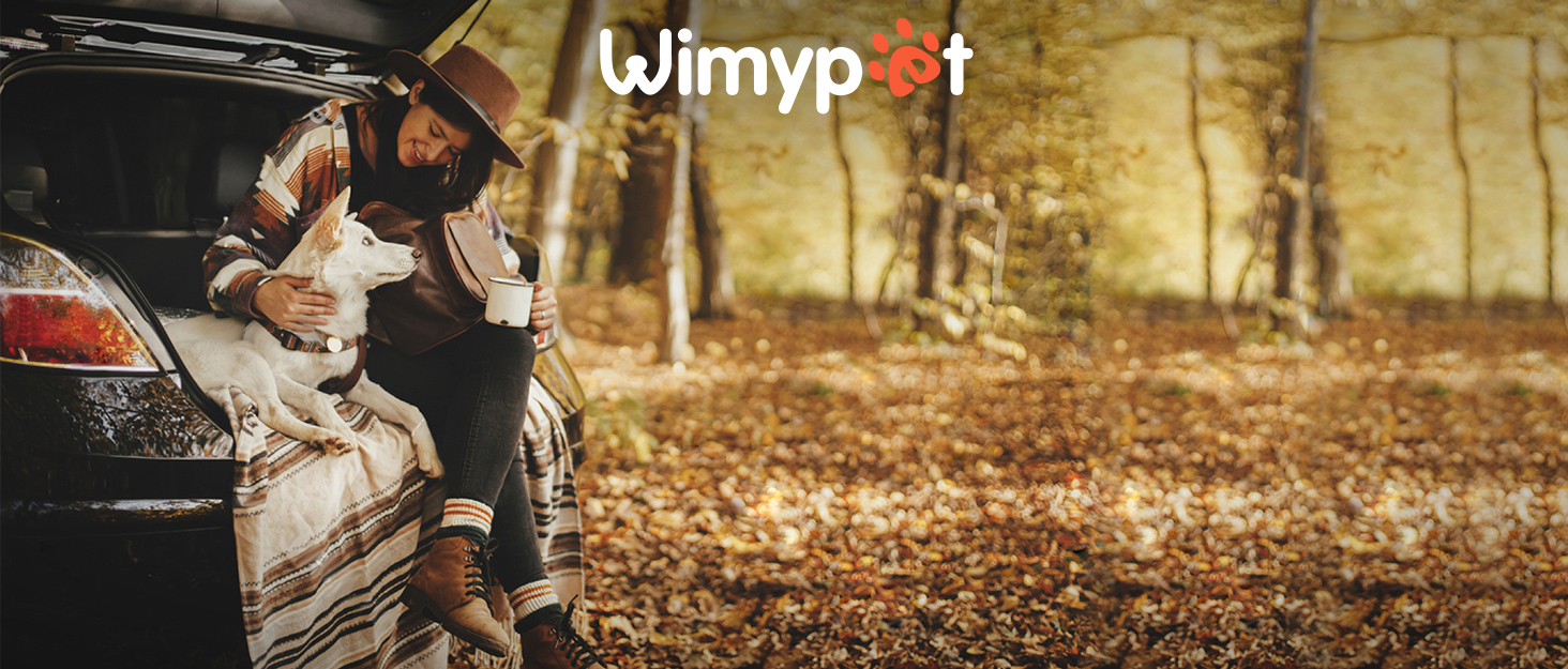 Our brand is Wimypet.